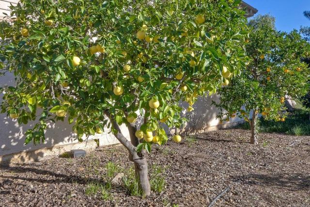 28521 Gladstone Court, Escondido, CA 92026