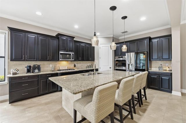 14231 AVON FARMS DRIVE, Tampa, FL 33618