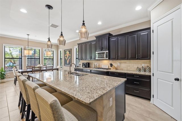 14231 AVON FARMS DRIVE, Tampa, FL 33618