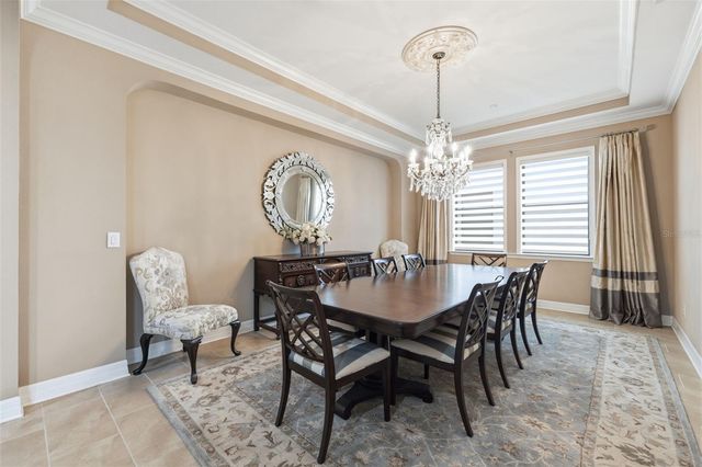 14231 AVON FARMS DRIVE, Tampa, FL 33618