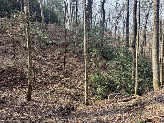 L53 Amy Creek Circle, Ellijay, GA 30540