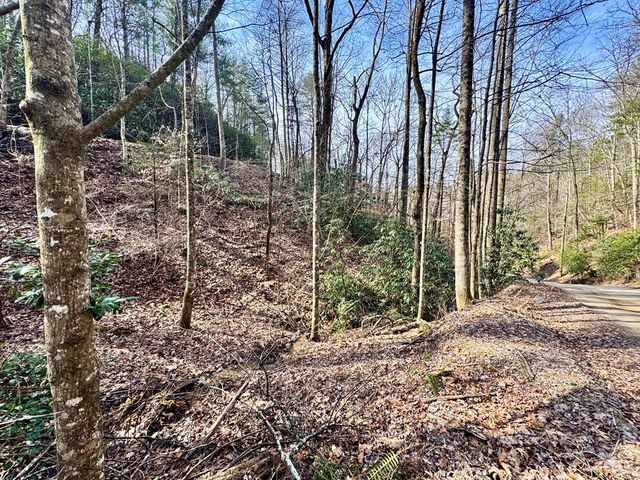 L53 Amy Creek Circle, Ellijay, GA 30540