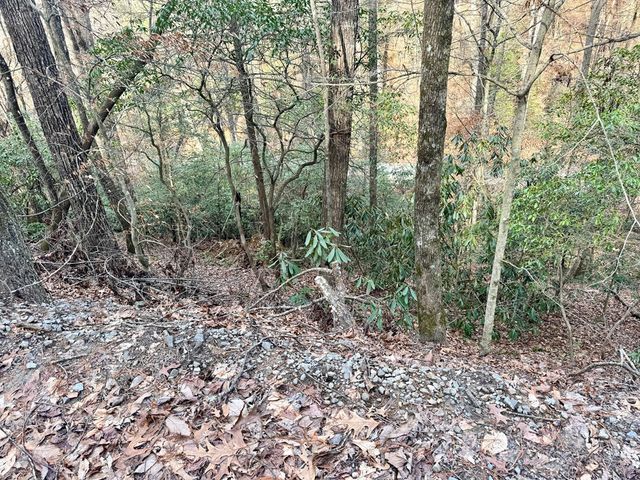 L53 Amy Creek Circle, Ellijay, GA 30540