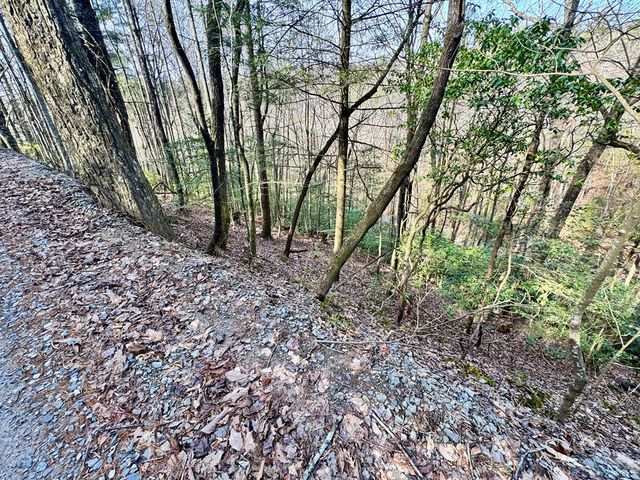 L53 Amy Creek Circle, Ellijay, GA 30540