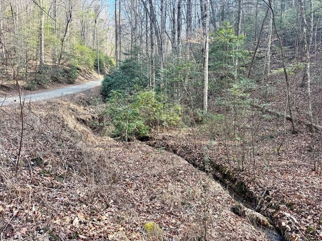 L53 Amy Creek Circle, Ellijay, GA 30540