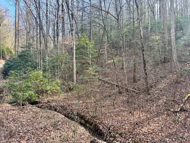 L53 Amy Creek Circle, Ellijay, GA 30540