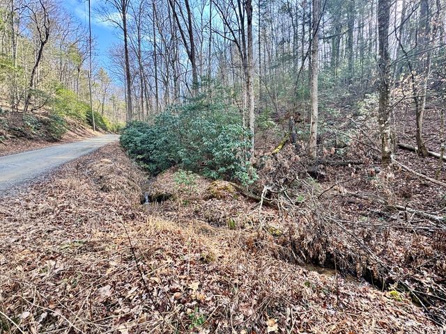 L53 Amy Creek Circle, Ellijay, GA 30540