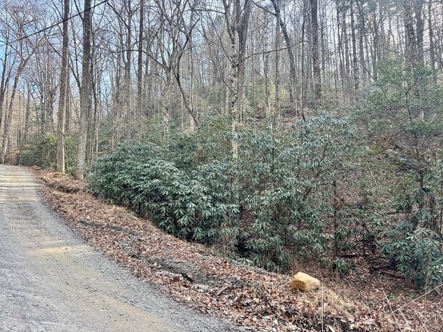 L53 Amy Creek Circle, Ellijay, GA 30540