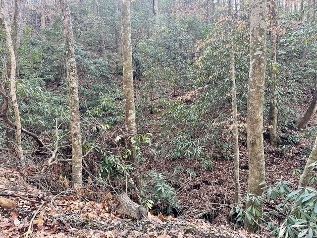 L53 Amy Creek Circle, Ellijay, GA 30540