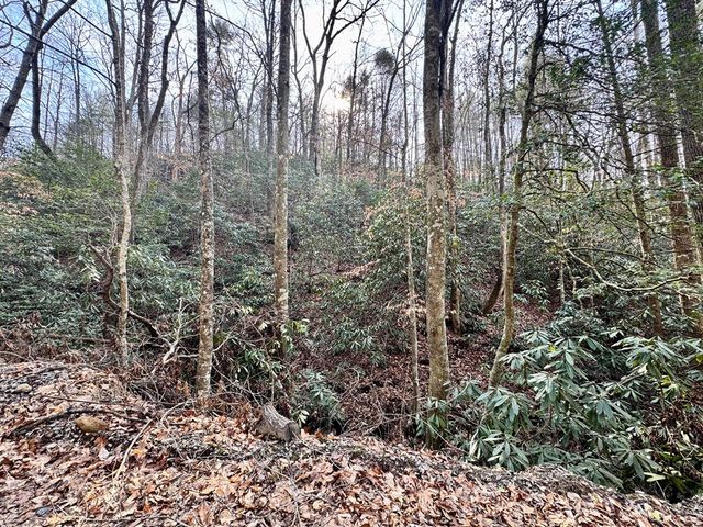 L53 Amy Creek Circle, Ellijay, GA 30540