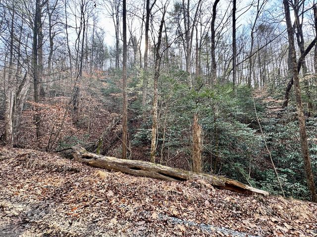 L53 Amy Creek Circle, Ellijay, GA 30540