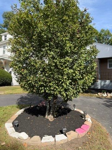 186 Pearl St, Brockton, MA 02301