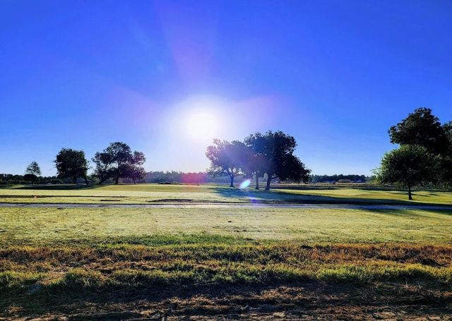 10422 Painted Brush Lane, Willis, TX 77318