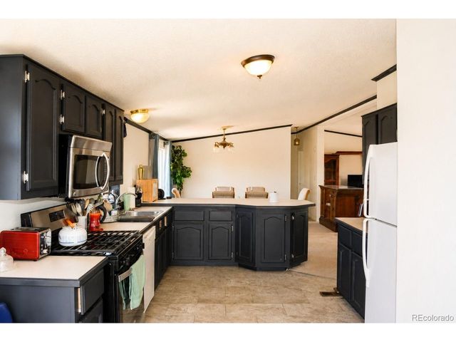 447 Shasta Ct, Kiowa, CO 80117