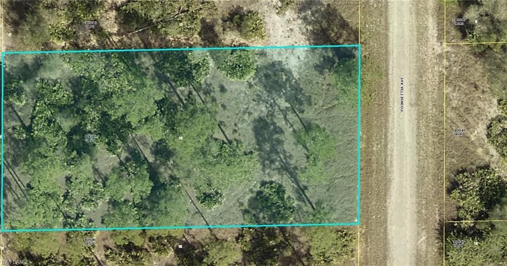 1507 Poinsettia AVE, LEHIGH ACRES, FL 33972 — exterior