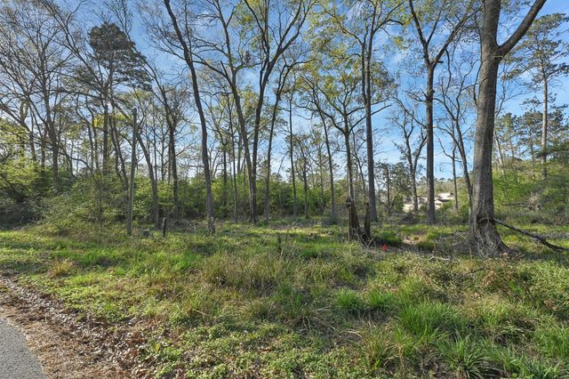 231 Chariot Lane, Roman Forest, TX 77357