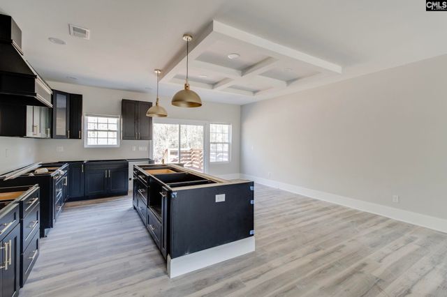 50 Rambling Drive, Elgin, SC 29045