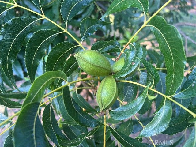 14450 Meridian Road, Chico, CA 95973