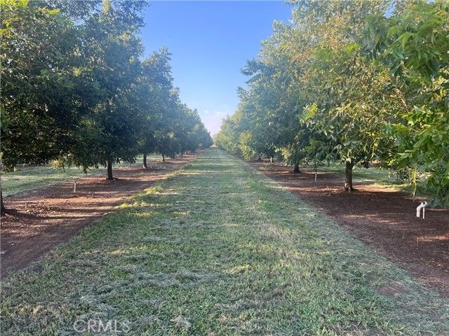 14450 Meridian Road, Chico, CA 95973