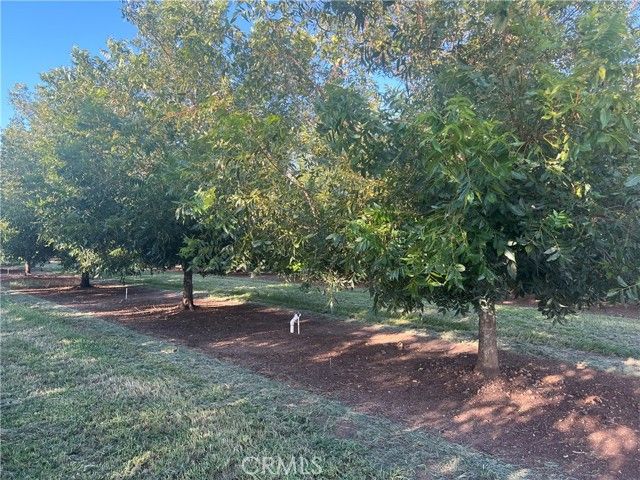 14450 Meridian Road, Chico, CA 95973