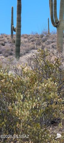 4790 N El Adobe Ranch Road, Tucson, AZ 85745