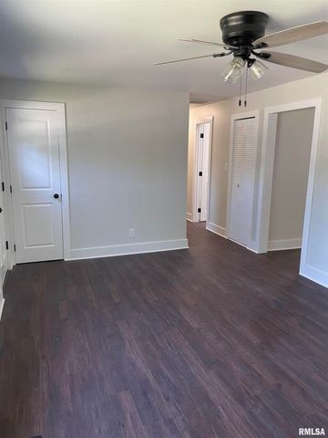 319 LINDSEY Street, Metropolis, IL 62960