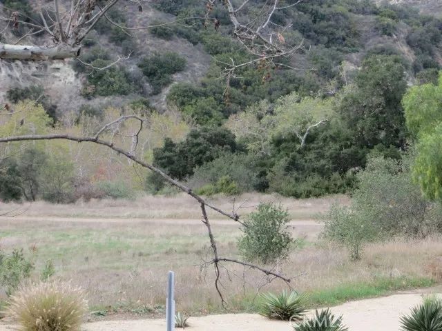 87 Fuente, Rancho Santa Margarita, CA 92688