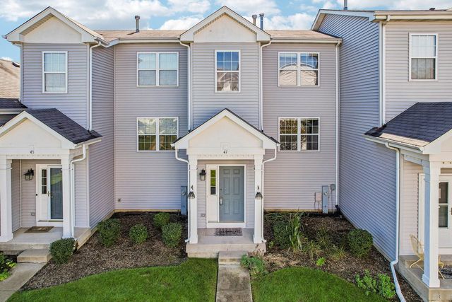 47 W Big Horn Drive, Hainesville, IL 60073