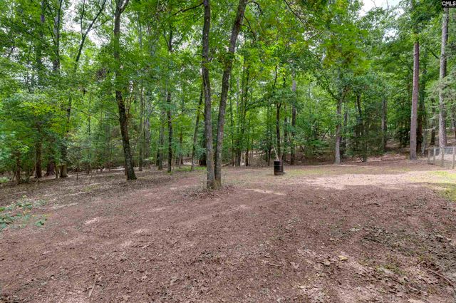 2031 Wash Lever Road, Little Mountain, SC 29075