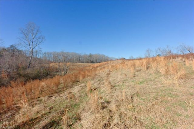 3 Roby Fulk Road, Pinnacle, NC 27043