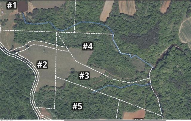 3 Roby Fulk Road, Pinnacle, NC 27043