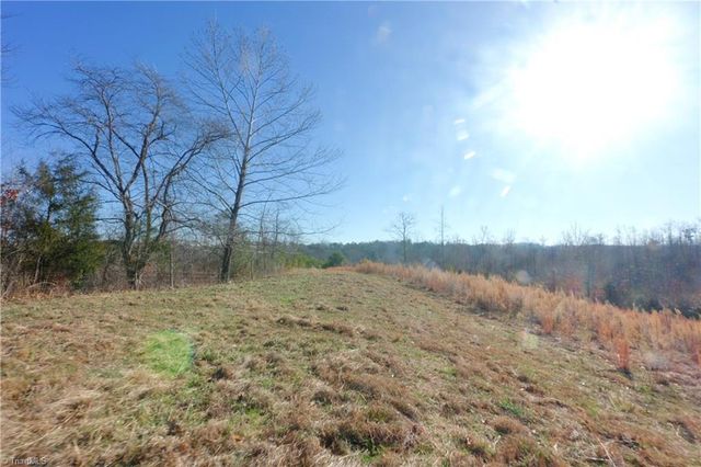 3 Roby Fulk Road, Pinnacle, NC 27043