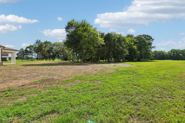 3390 Mealer Rd, Chapel Hill, TN 37034