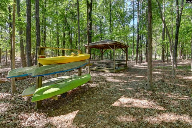 122 Lost Lure Lane, Chapin, SC 29036