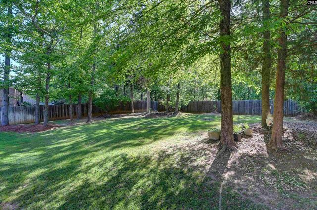 122 Lost Lure Lane, Chapin, SC 29036