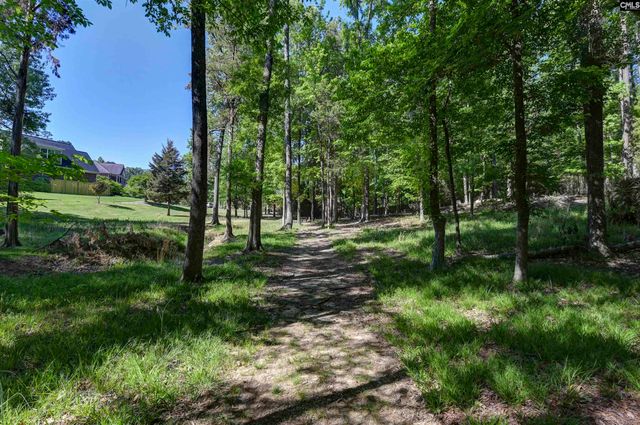 122 Lost Lure Lane, Chapin, SC 29036