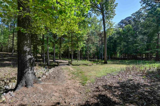 122 Lost Lure Lane, Chapin, SC 29036
