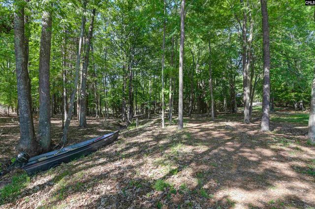 122 Lost Lure Lane, Chapin, SC 29036