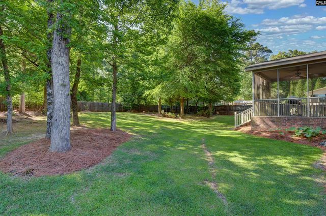 122 Lost Lure Lane, Chapin, SC 29036