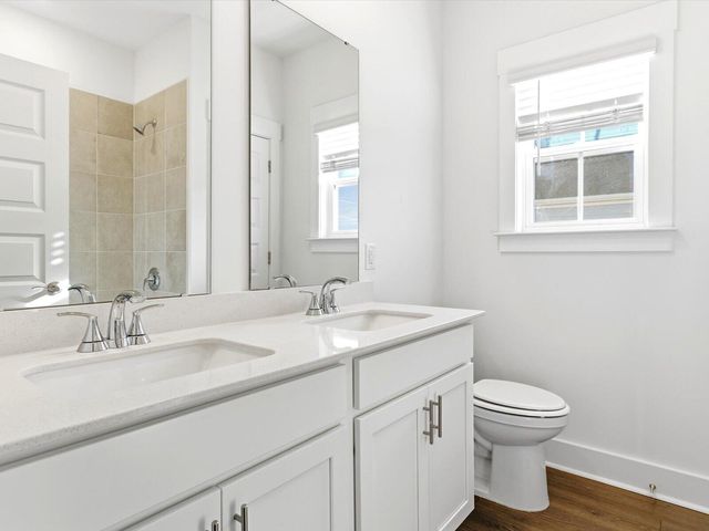 442 Radiant Blue Way, Summerville, SC 29486