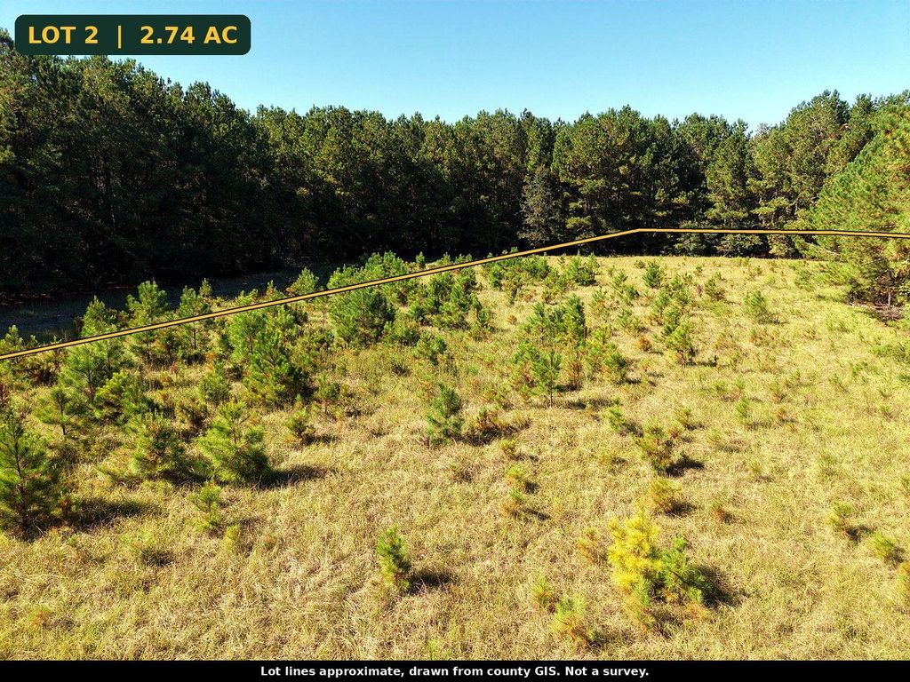 TBD Tranquil Rd., Nichols, SC 29581 — photo 4