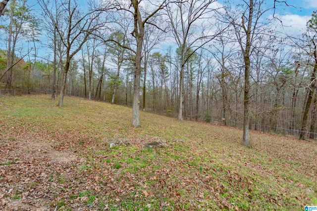 2939 GLEN GATE DRIVE, Helena, AL 35022