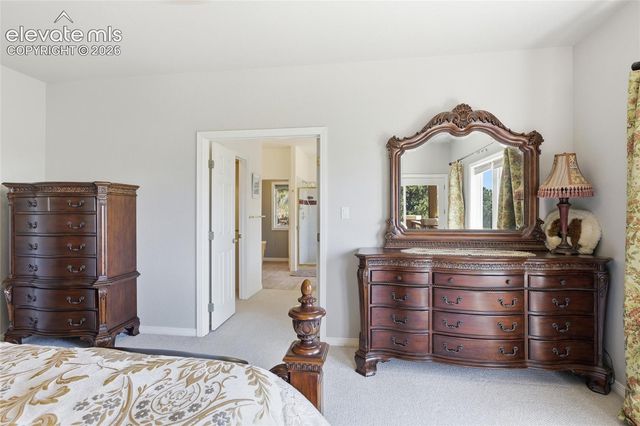 17215 Fairplay Drive, Monument, CO 80132