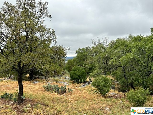 820 Mountain Dew, Horseshoe Bay, TX 78657
