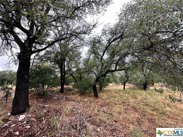 820 Mountain Dew, Horseshoe Bay, TX 78657