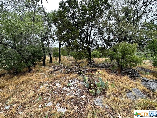 820 Mountain Dew, Horseshoe Bay, TX 78657