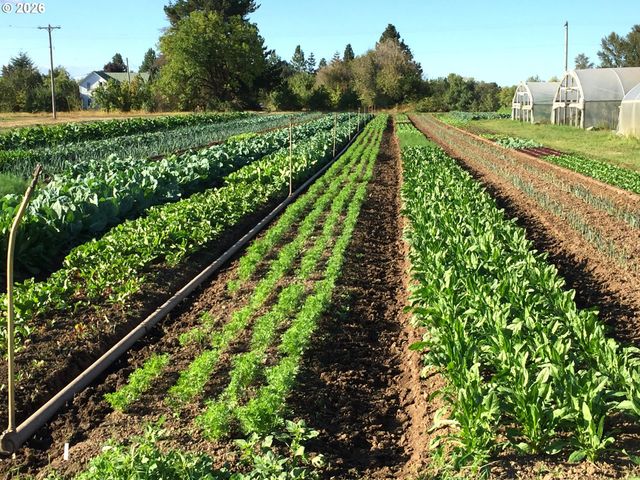8962 S HEINZ Rd, Canby, OR 97013