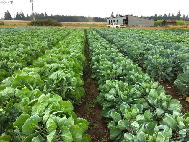 8962 S HEINZ Rd, Canby, OR 97013