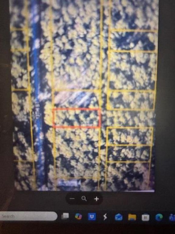 Lot 17 13th Street, Santa Rosa Beach, FL 32459