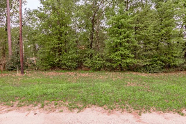 Lt 194 Evergreen, Livingston, TX 77351